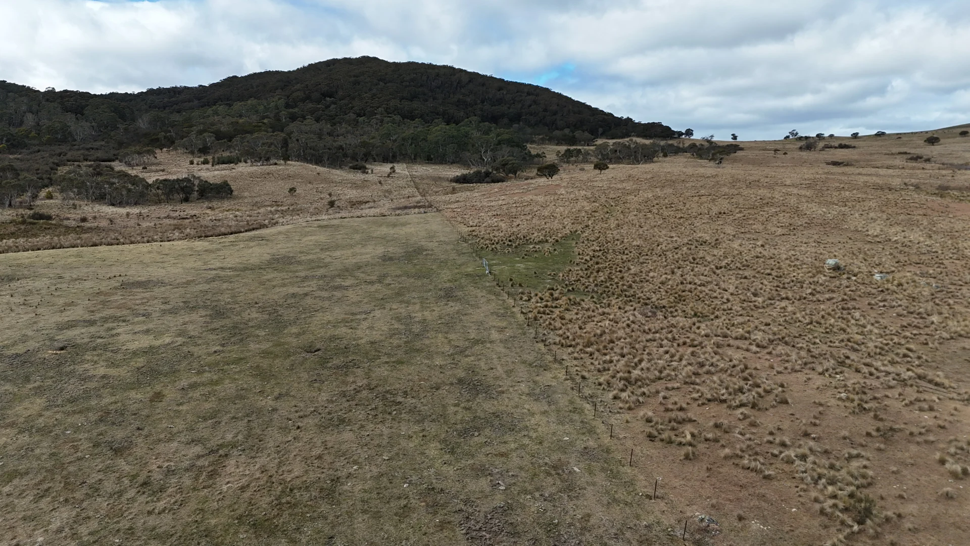 Additional image 7 of 102 Kain Cross Road, Braidwood NSW 2622