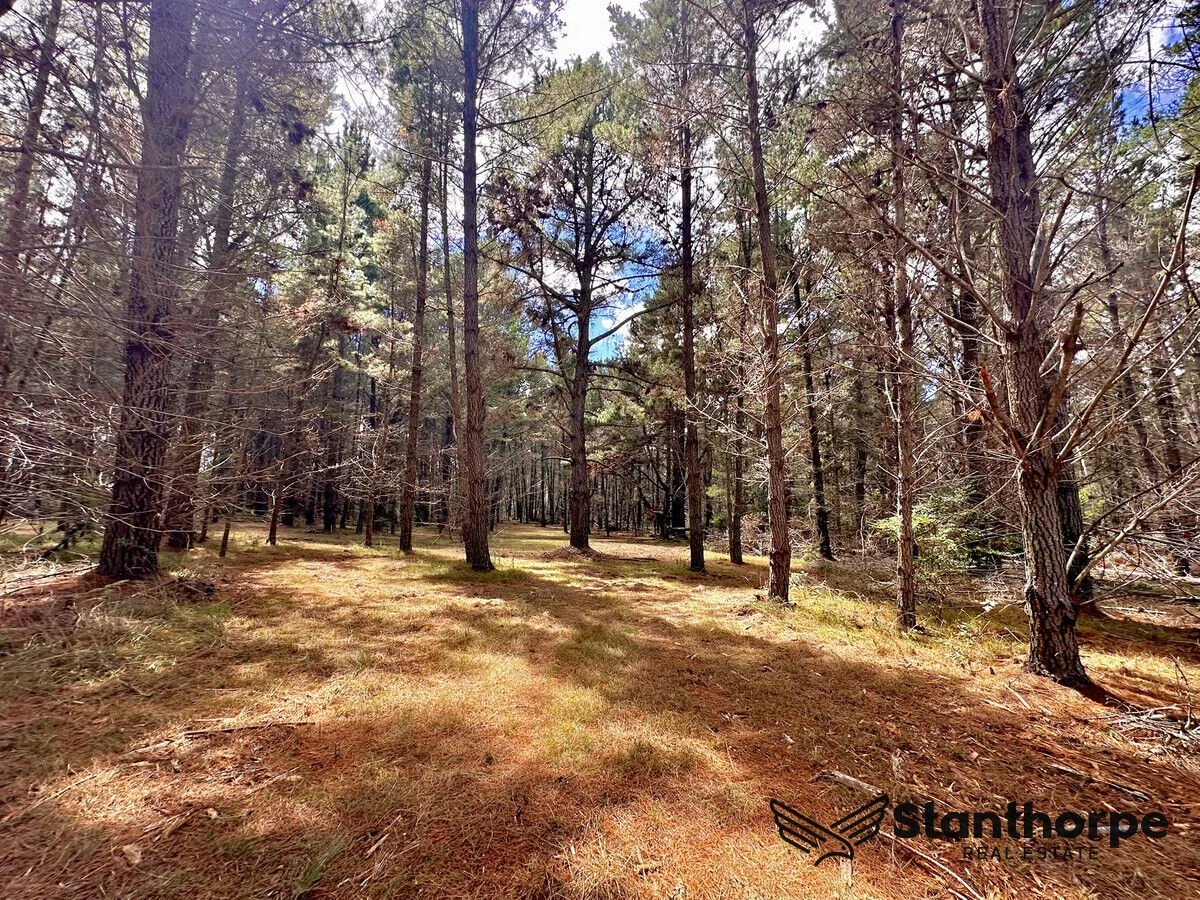 Additional image 31 of 240 Panoramic Drive, Sugarloaf QLD 4380