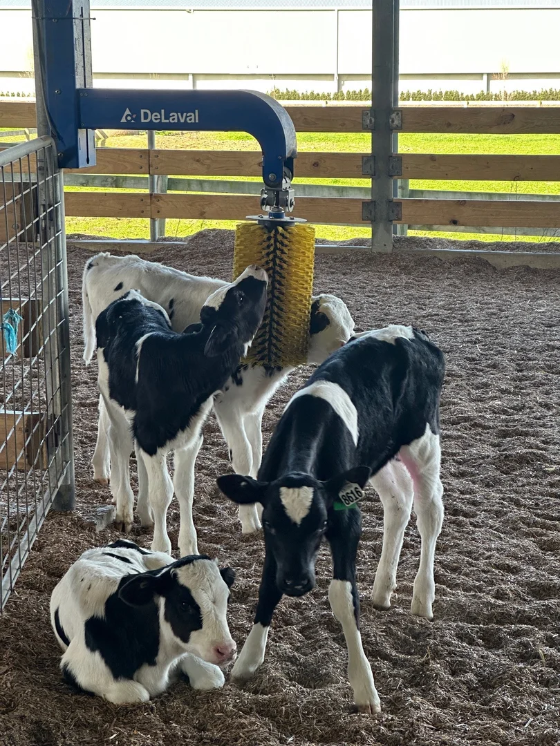 Additional image 18 of 765 Korumburra South Road, Korumburra South VIC 3950