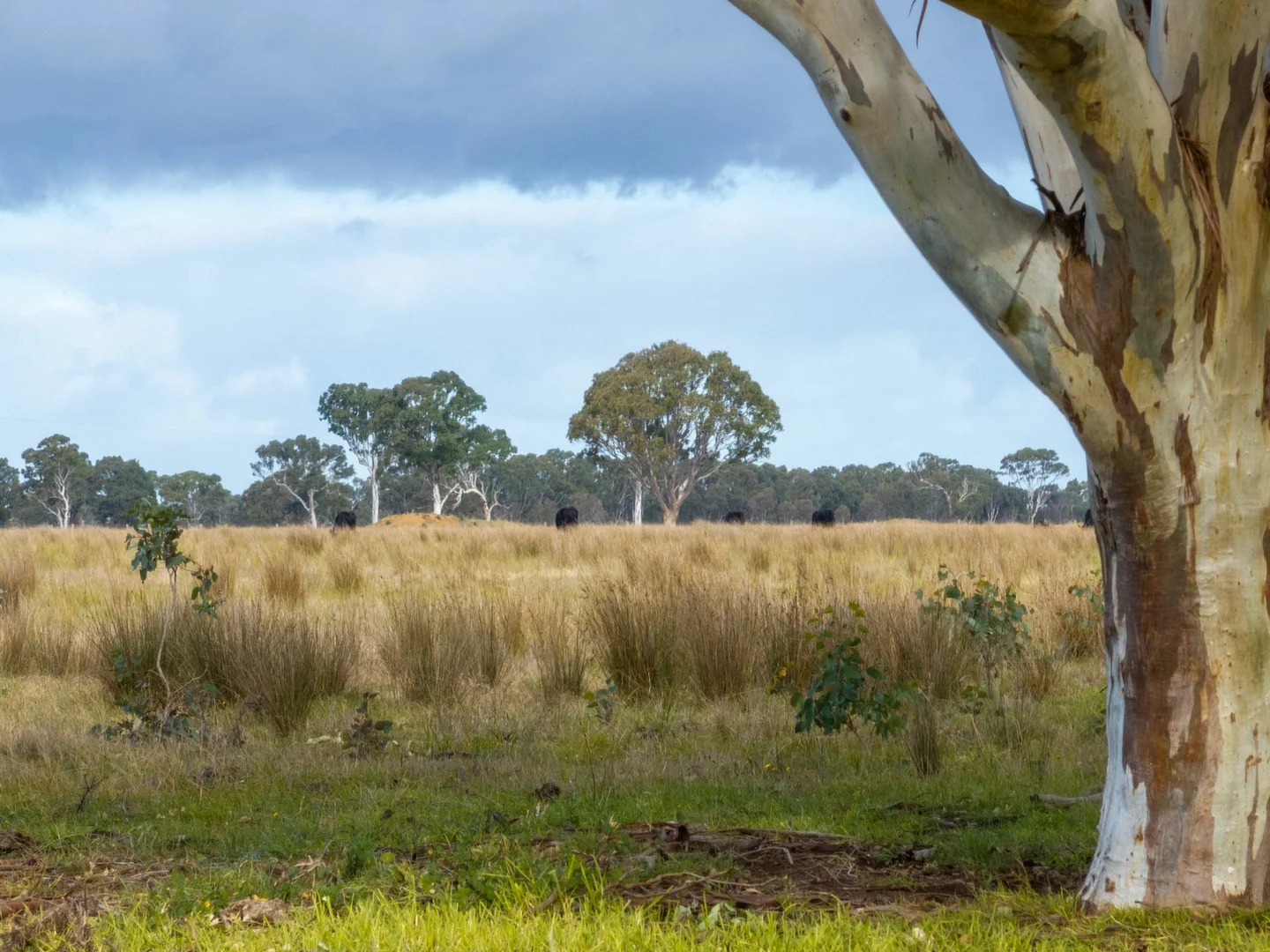 Additional image 18 of 2/488A Bengworden Road, Bairnsdale VIC 3875