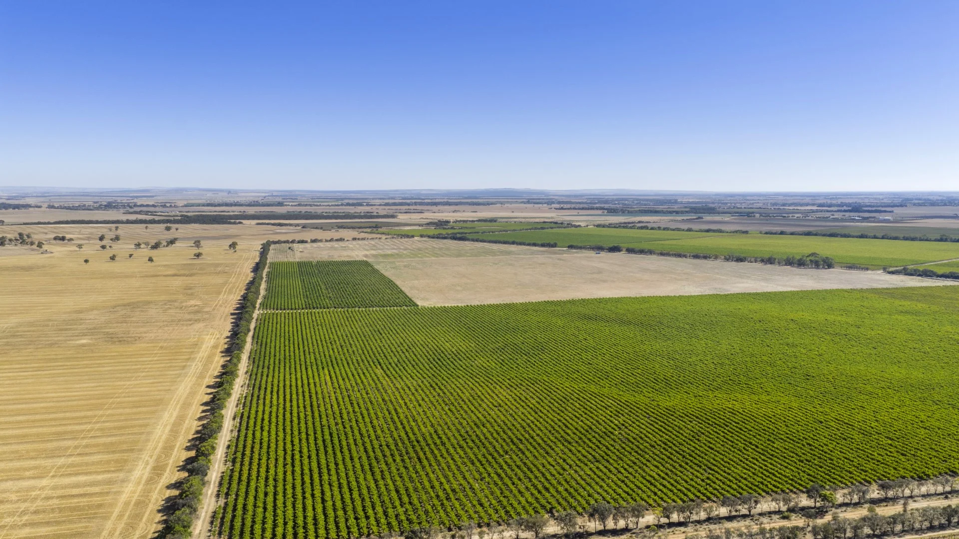 Additional image 7 of 261 Marandoo Road, Langhorne Creek SA 5255
