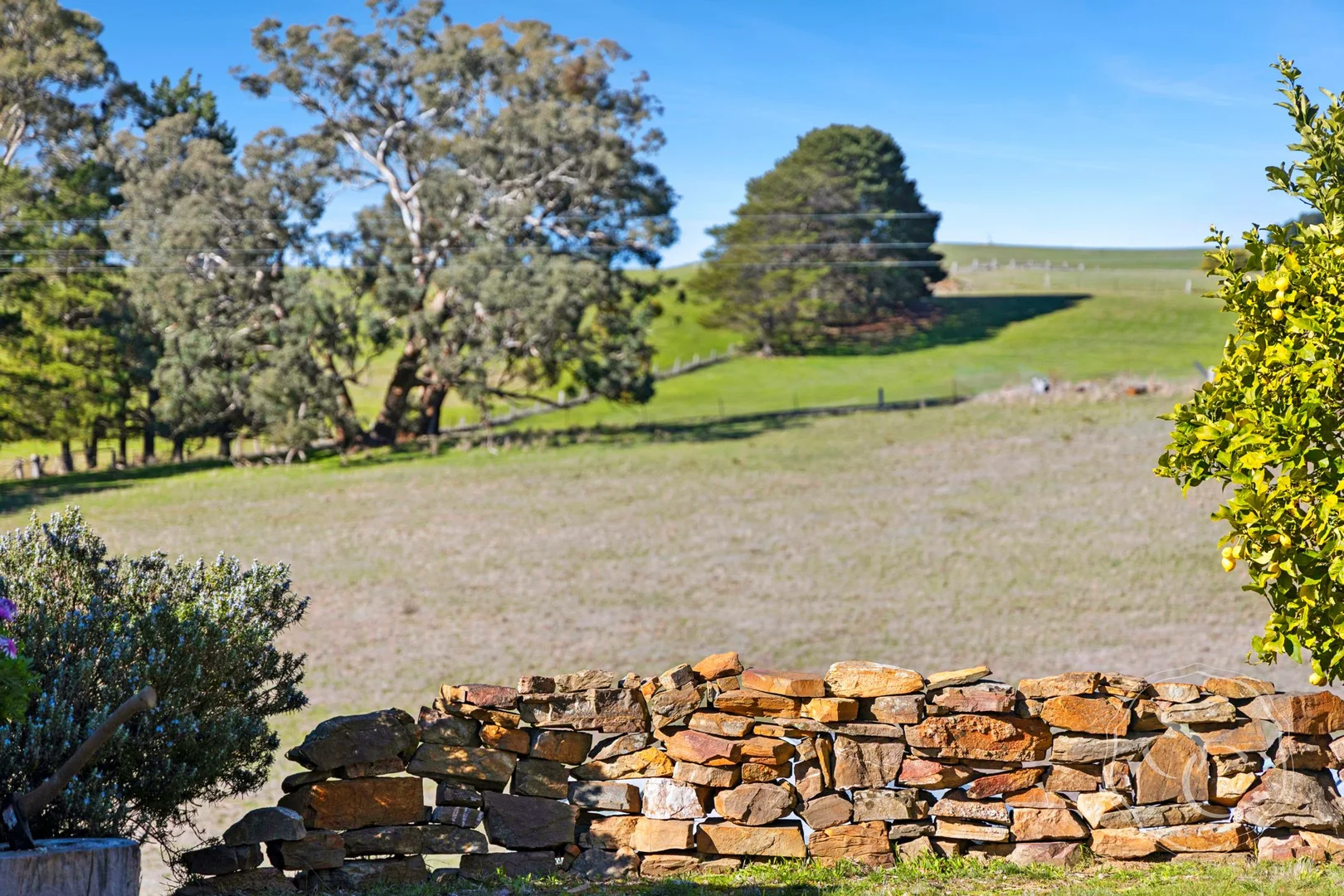 Additional image 19 of 120 Ayreshire Drive, Shepherds Flat VIC 3461