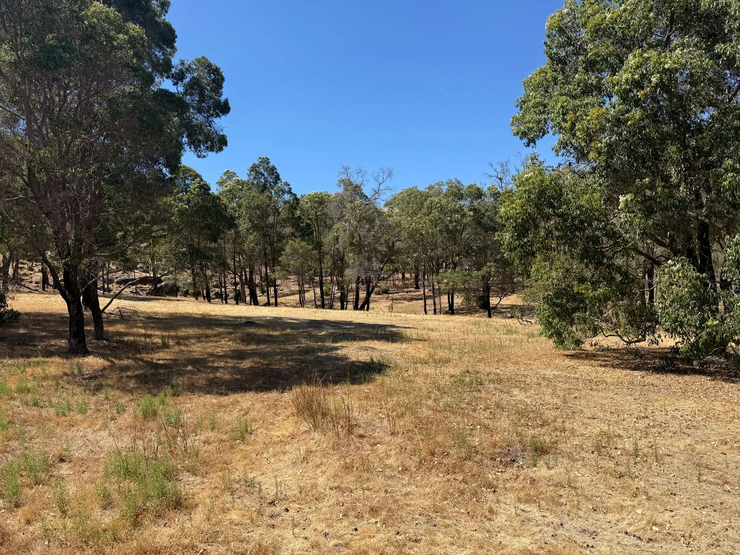 Additional image 3 of 59 Lyons Road, Waroona WA 6215