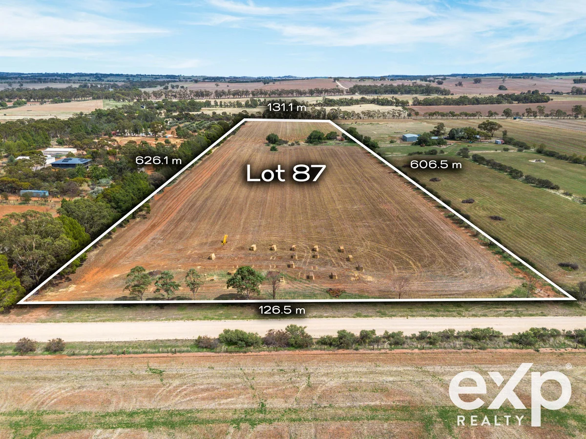 Additional image 2 of Lot 87 Blocks Road, Riverton SA 5412