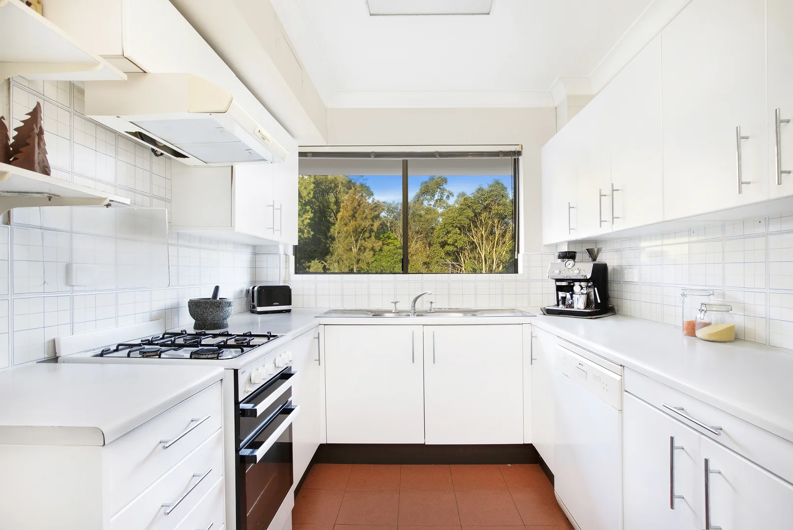 16/43a St Marks Road, Randwick NSW 2031 photo 5