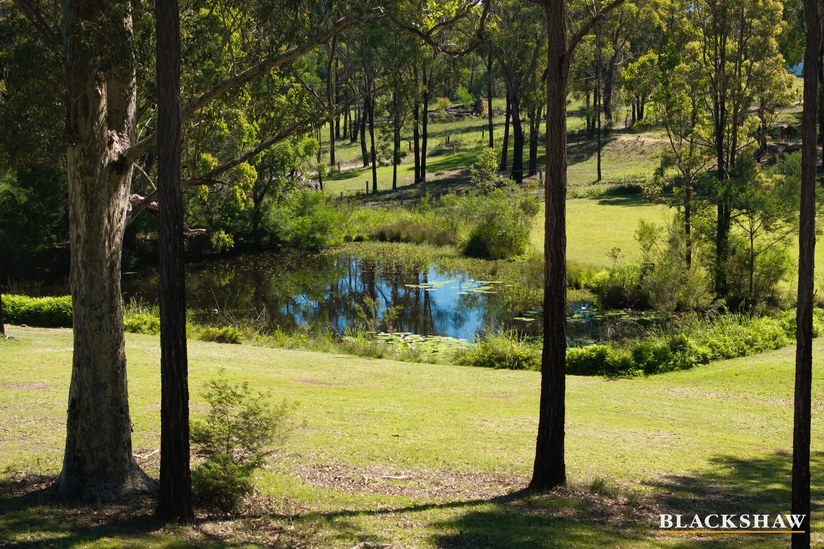 Additional image 31 of 136 Bimbimbie Road, Bimbimbie NSW 2536