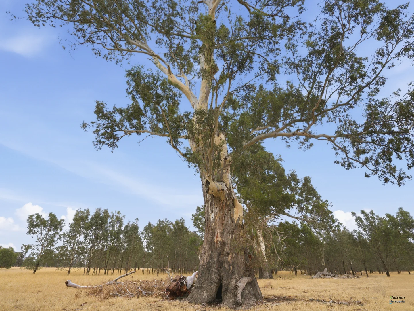 Additional image 7 of Cnr Burness Rd & Four Mile Rd, Benalla VIC 3672