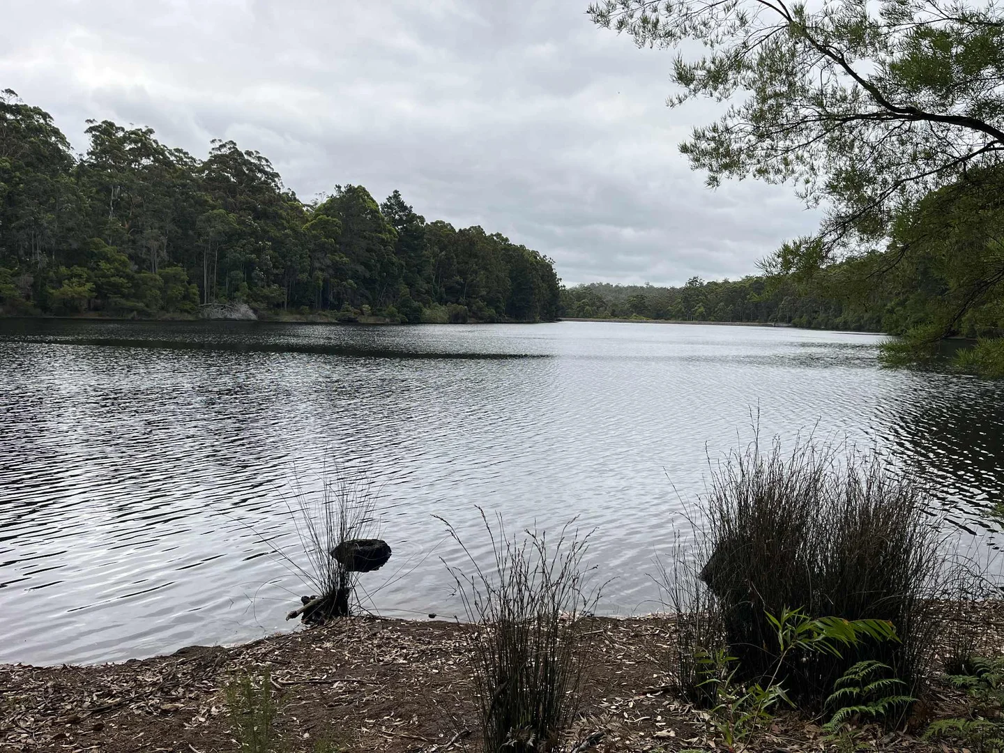 Additional image 11 of Lot 165 Karri Lane, Quinninup WA 6258