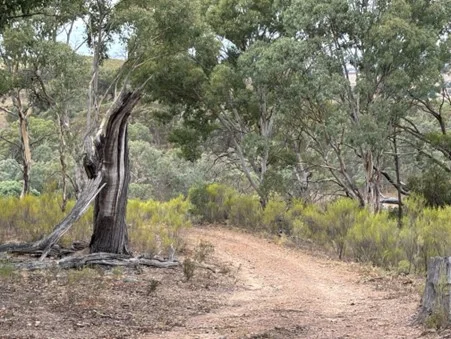 Additional image 3 of 3031 Rugby Road, Bevendale NSW 2581