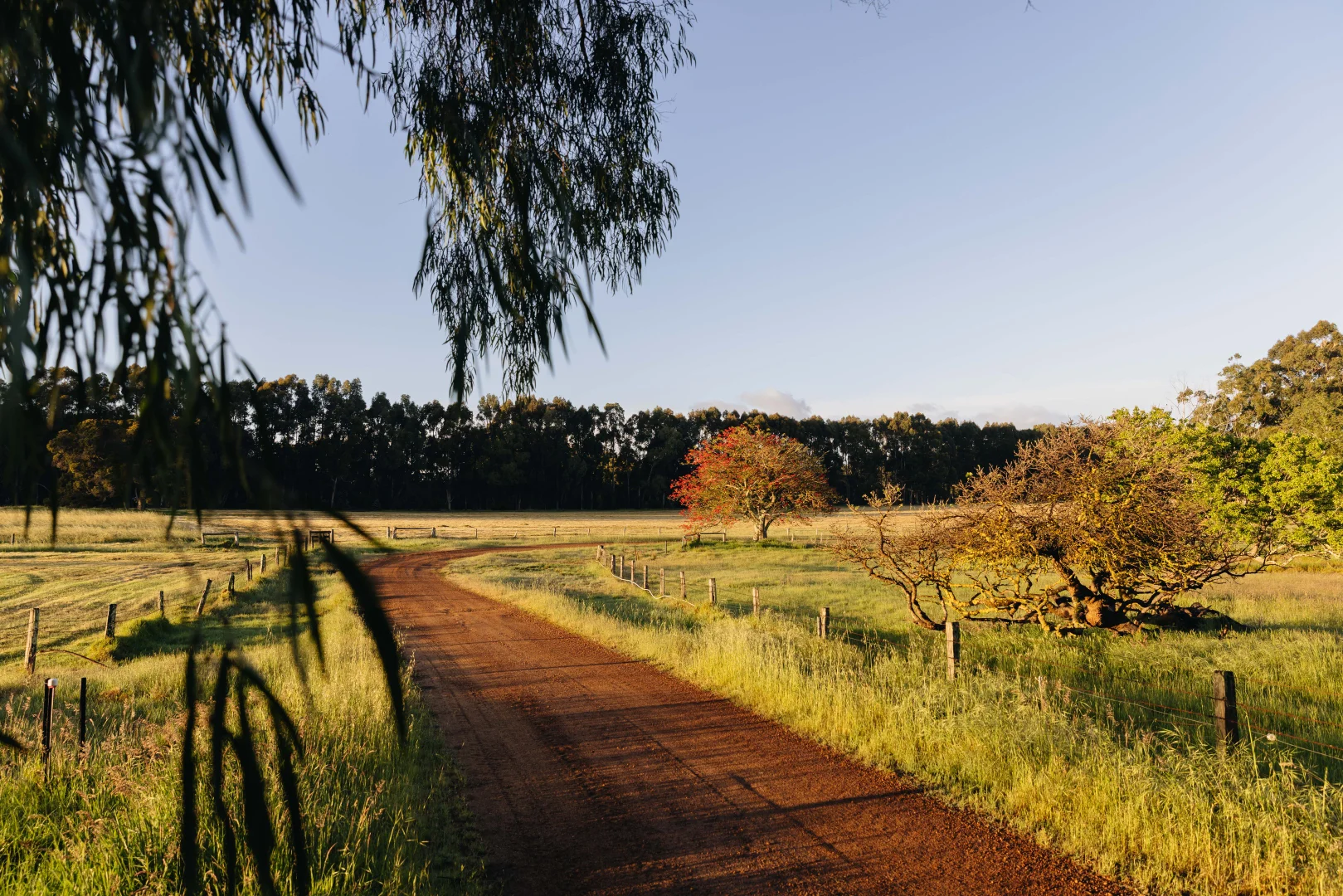 Additional image 12 of Springfield Farm, Yallingup WA 6282