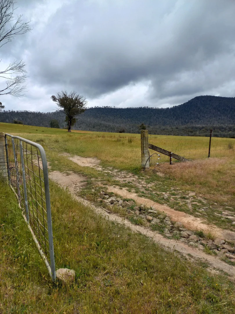 Additional image 9 of Lot 10/714 Yenschs Road, Lankeys Creek NSW 2644