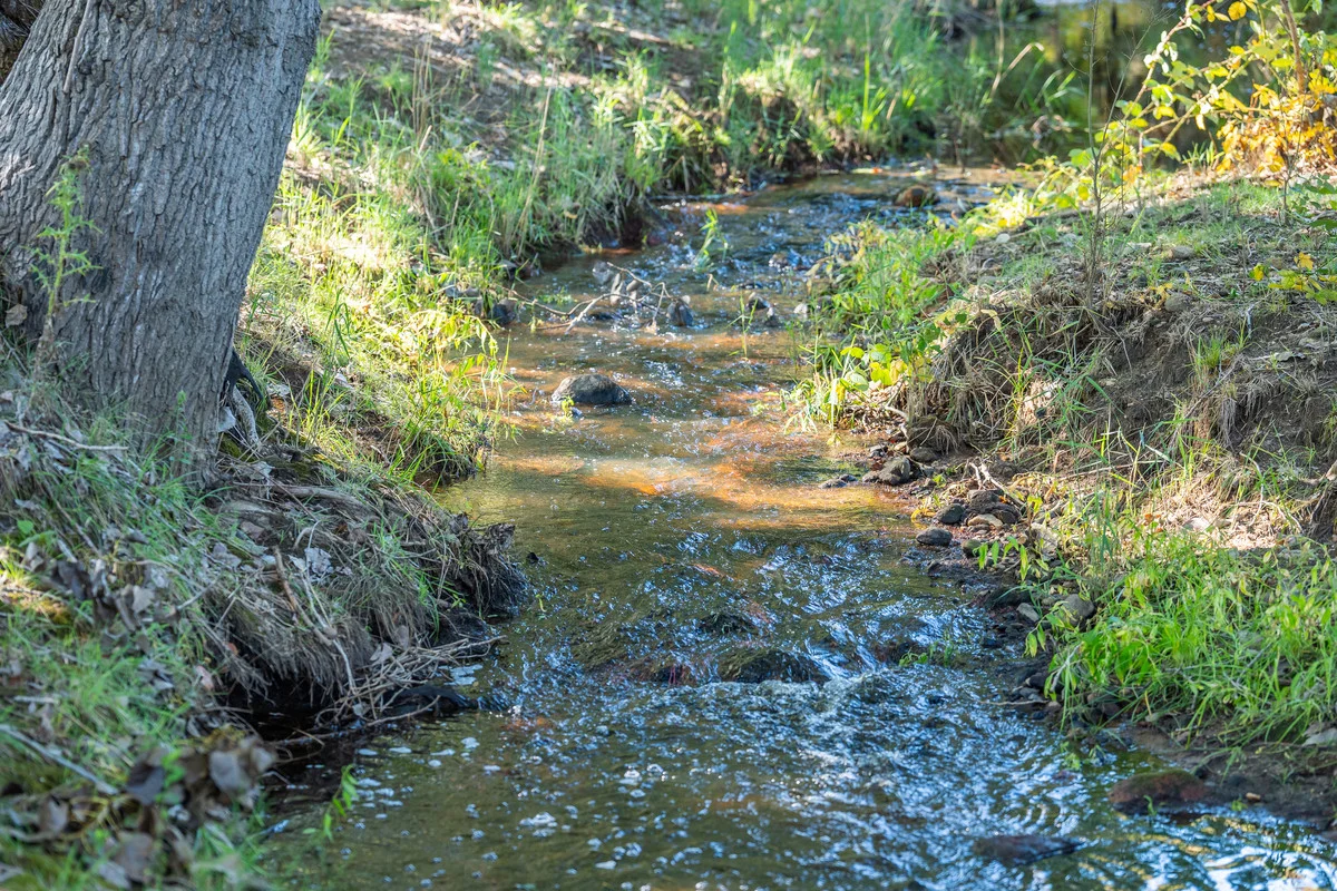 Additional image 22 of 4106 Kiewa Valley Highway, Dederang VIC 3691