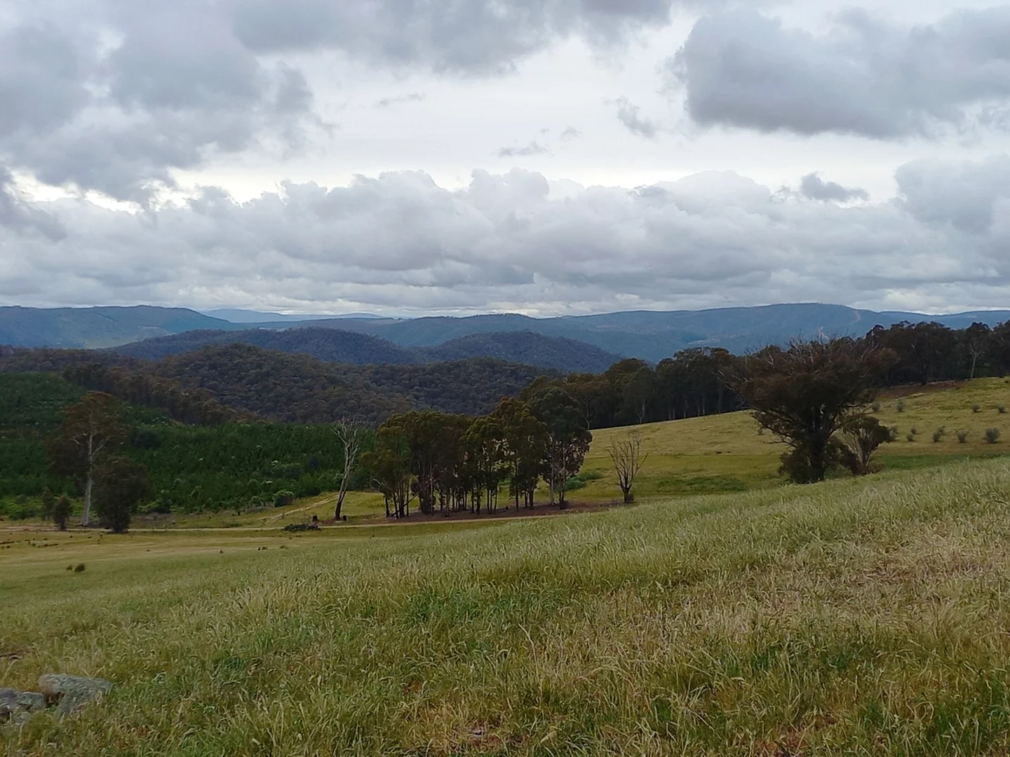 Lot 10/714 Yenschs Road, Lankeys Creek NSW 2644