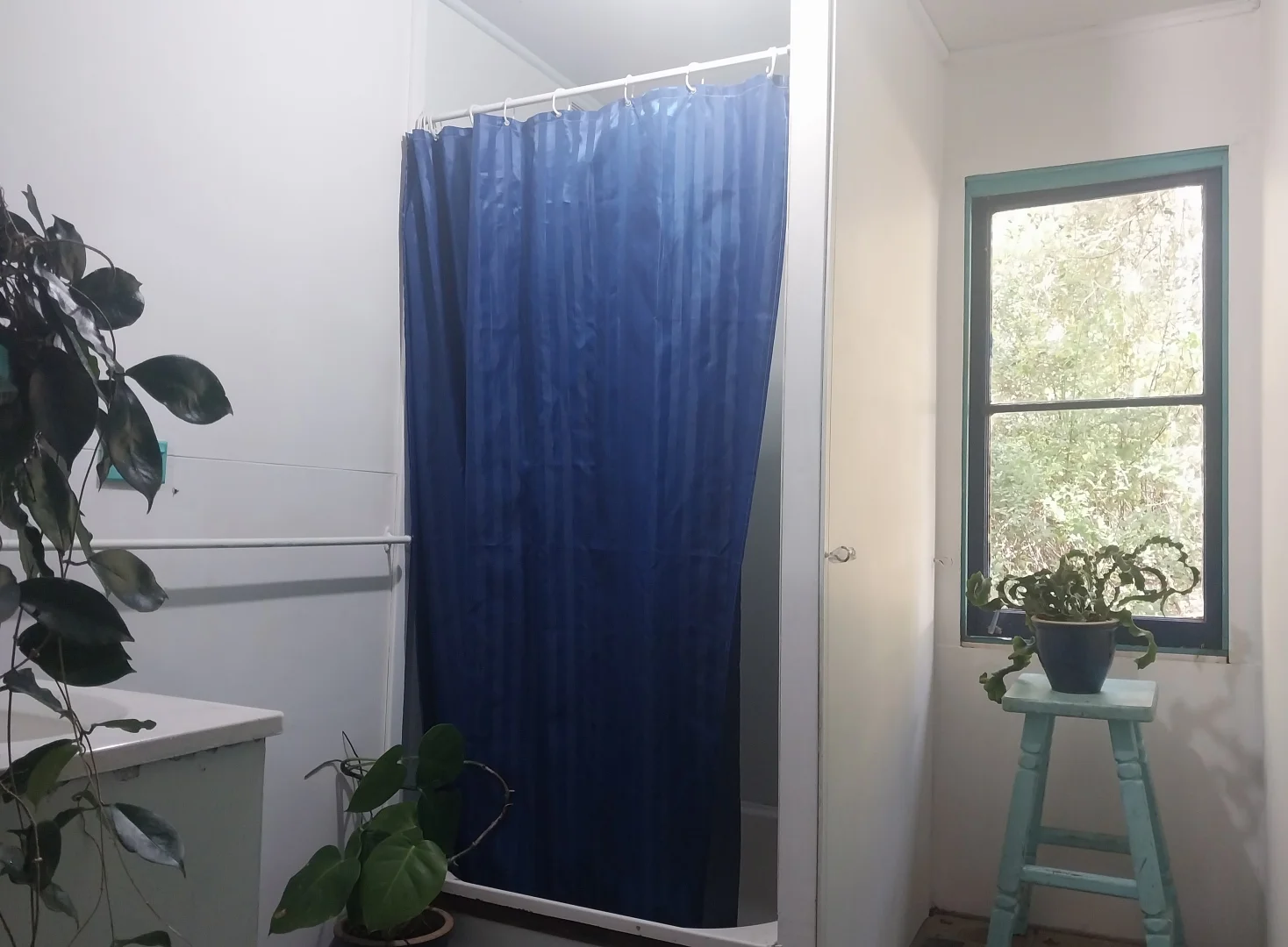 Additional image 16 of Rock Valley NSW 2480