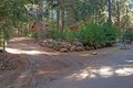Additional image 32 of 3117 Darby Ln, Pollock Pines, CA, 95726