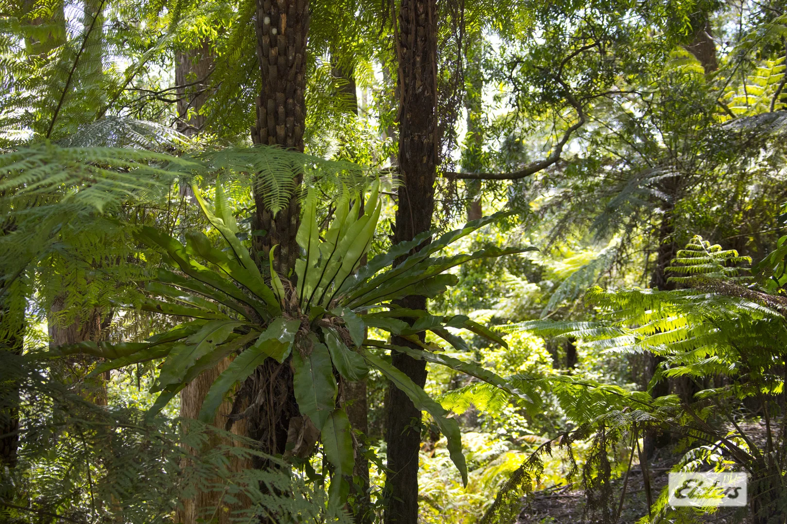 Additional image 16 of 948 Jamberoo Mountain Road, Jamberoo NSW 2533