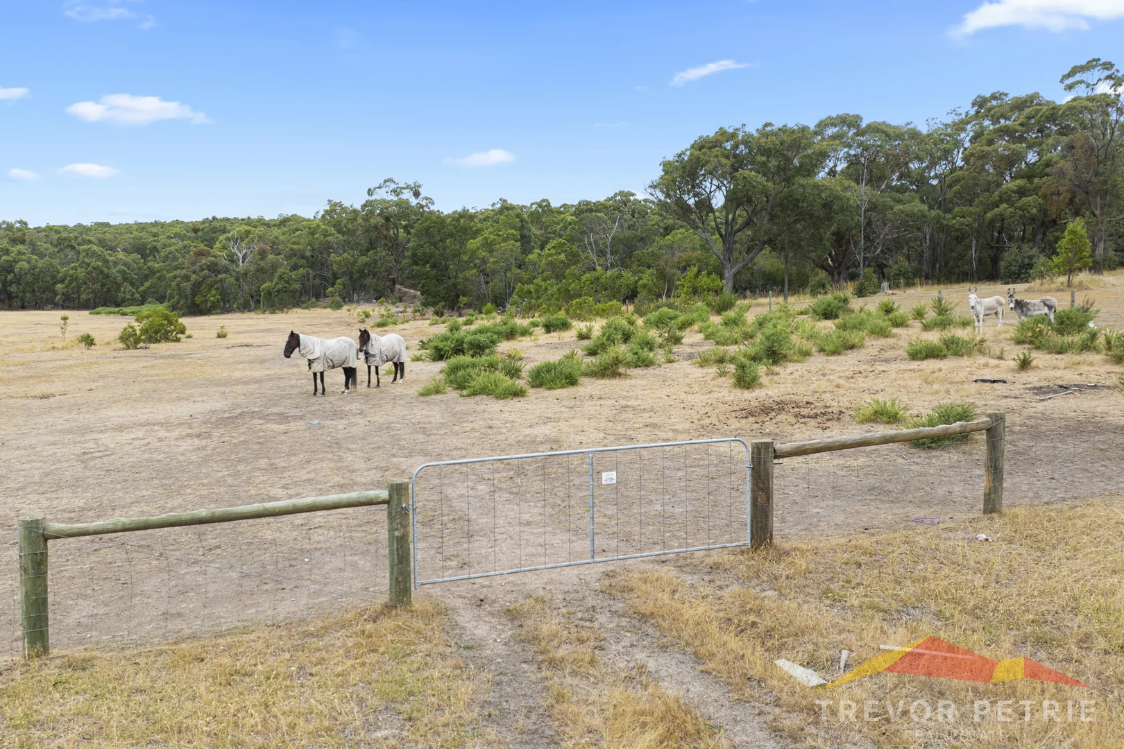Additional image 3 of 23 Glens Road, Newtown VIC 3351