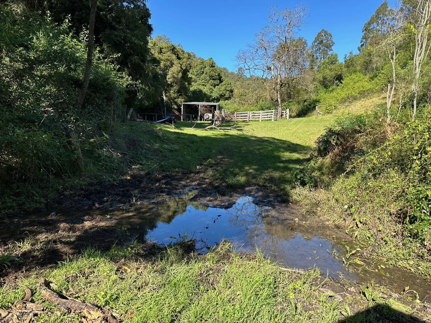 Additional image 12 of 129 Quartpot Creek Road, Dungog NSW 2420