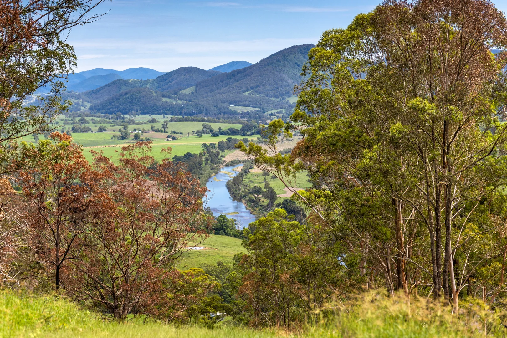 Additional image 23 of Lot 9 Somerset Road, Mount George NSW 2424