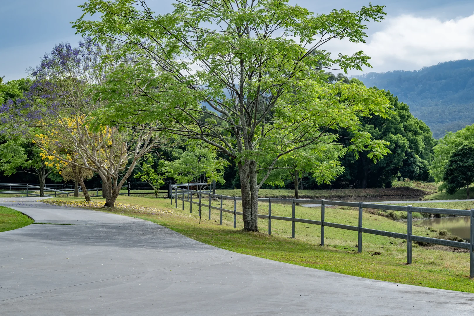 Additional image 5 of 2567 Beaudesert Nerang Road, Benobble QLD 4275