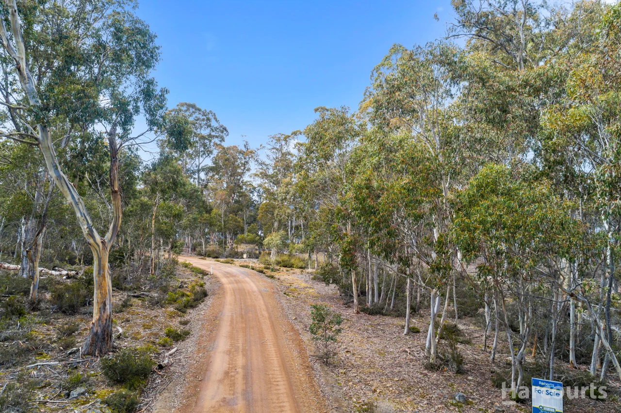 Additional image 4 of 14 Pauciflora Drive, London Lakes TAS 7140