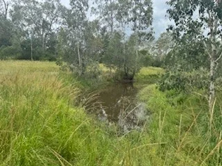 Additional image 23 of 420 Mount Bucca Road, Abbotsford QLD 4670