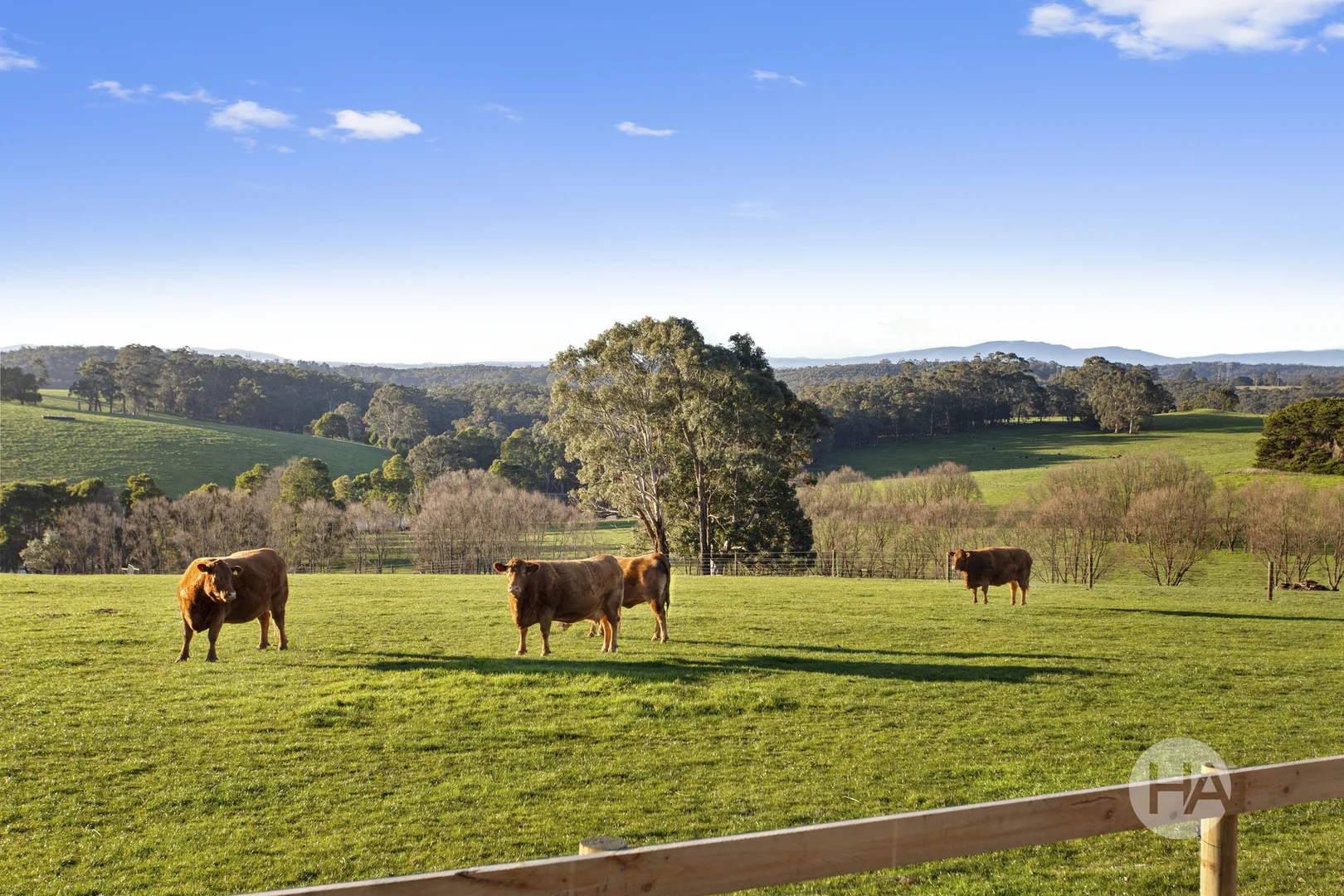 Additional image 15 of 1485 Old Sale Road, Buln Buln East VIC 3821