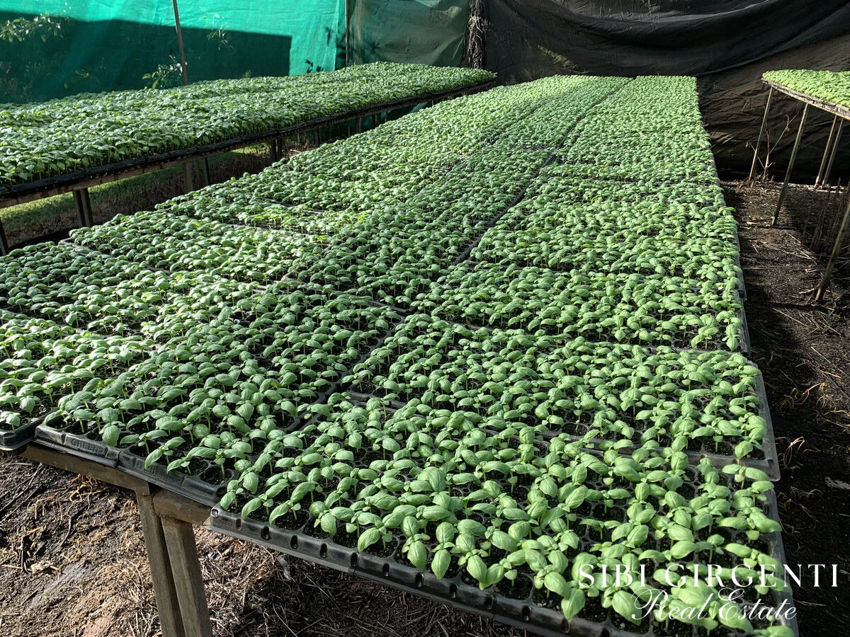 Additional image 18 of 1611 Mareeba-Dimbulah, Arriga QLD 4880