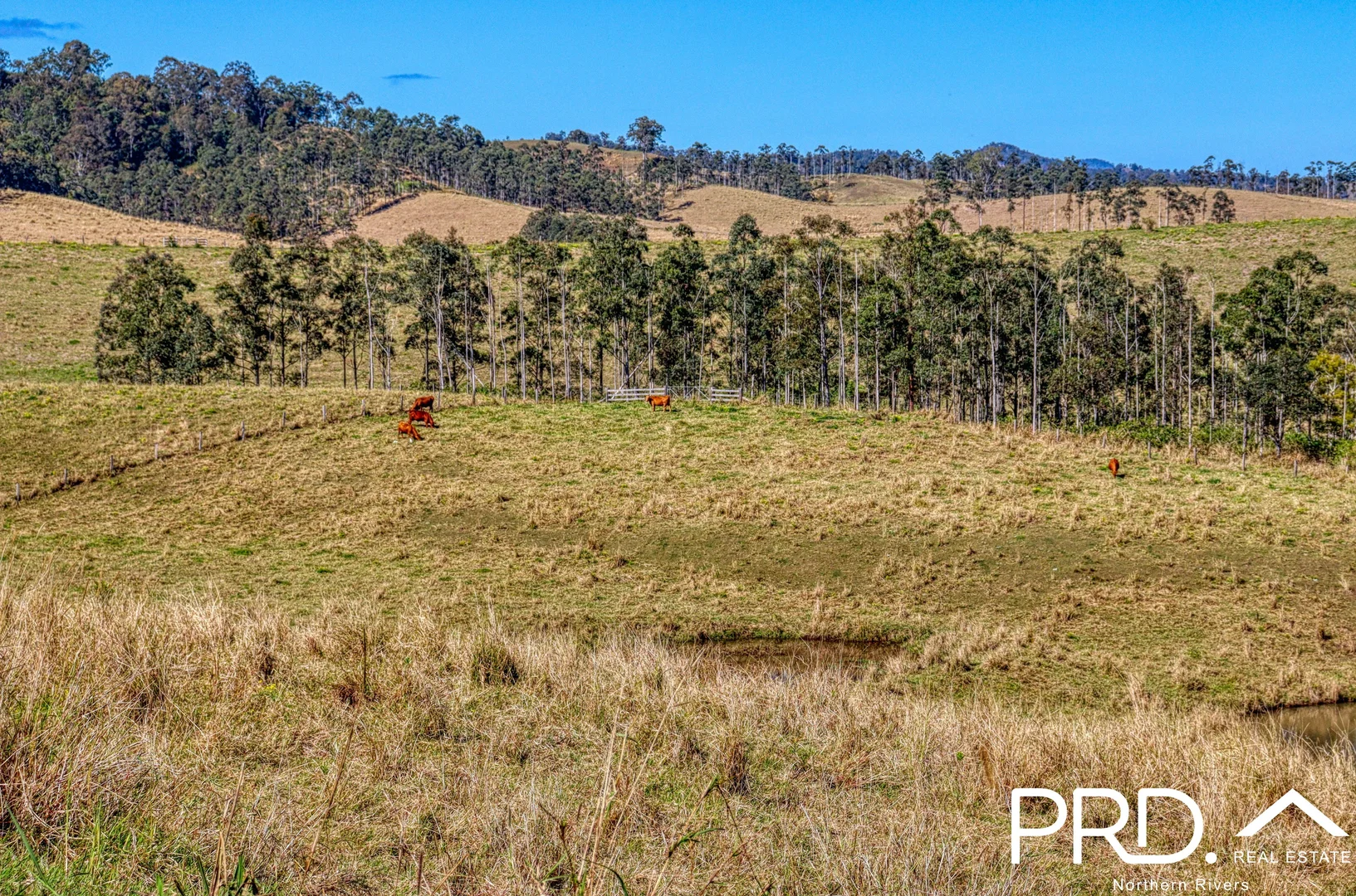Additional image 6 of Lot 30, 46 Lynches Creek Road, Wiangaree NSW 2474