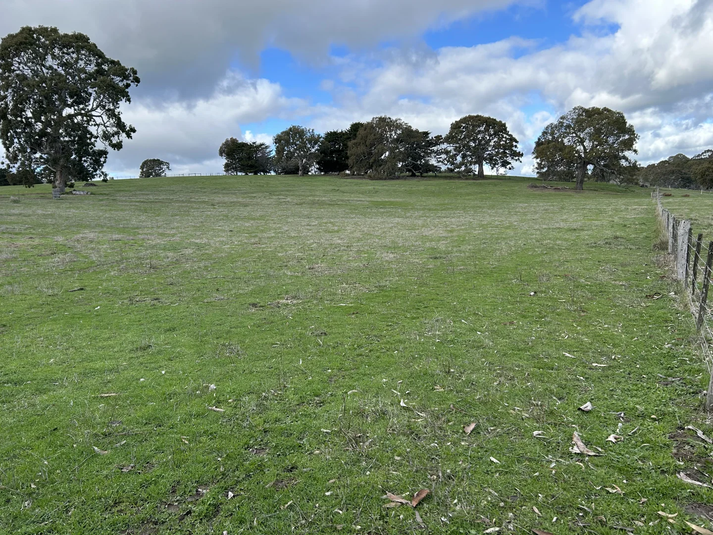 Additional image 19 of 20-38 & 35 Brady street, Glenthompson VIC 3293