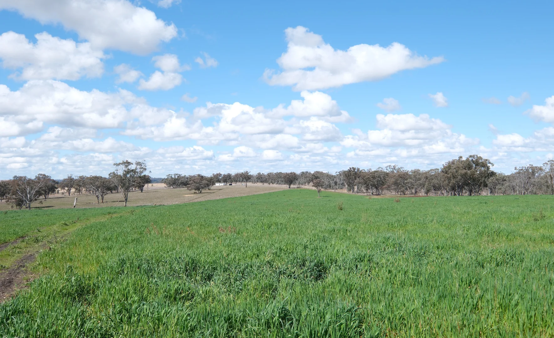 Additional image 2 of 154 Delungra Bypass Road, Inverell NSW 2360