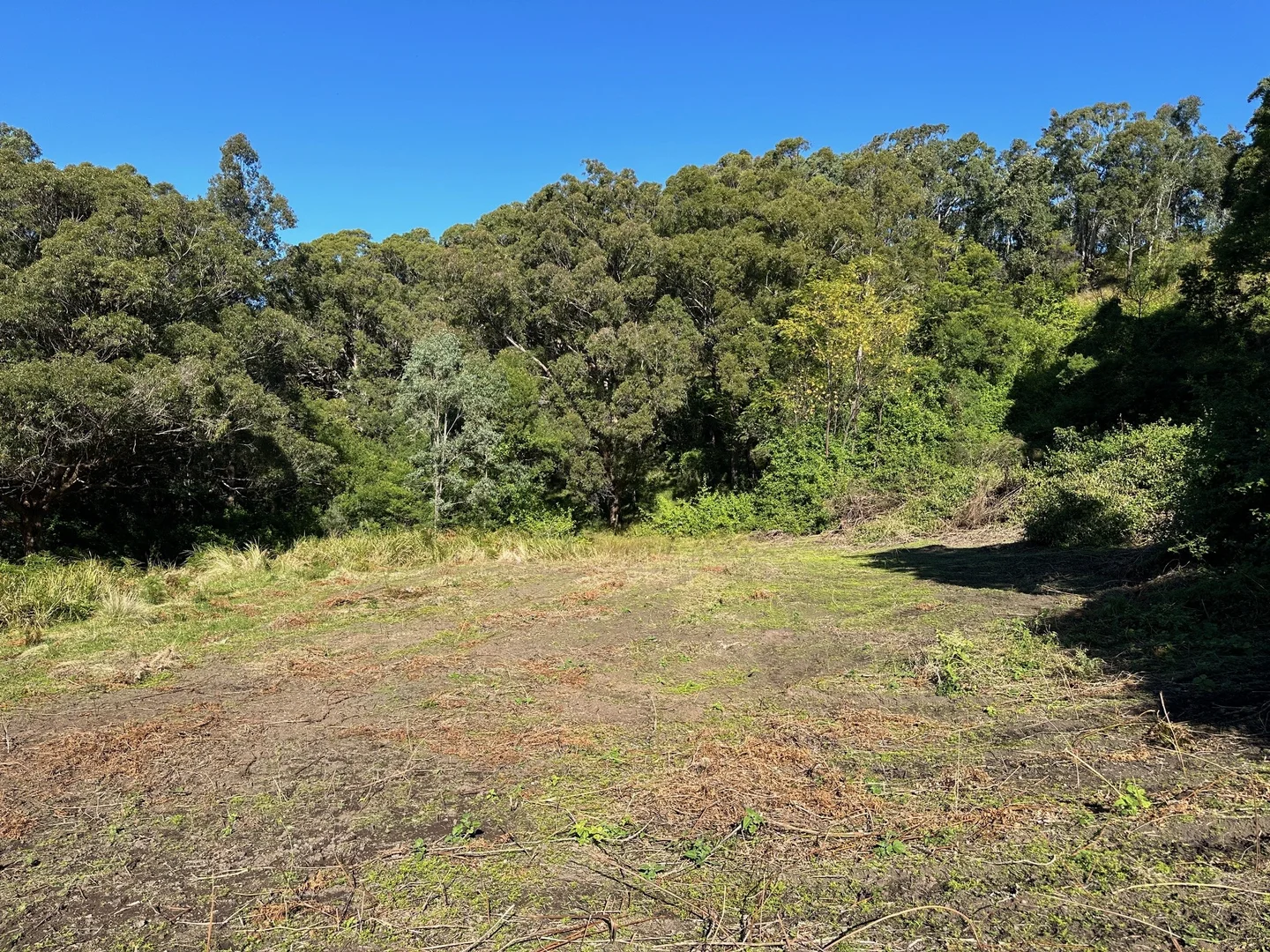 Additional image 17 of 129 Quartpot Creek Road, Dungog NSW 2420