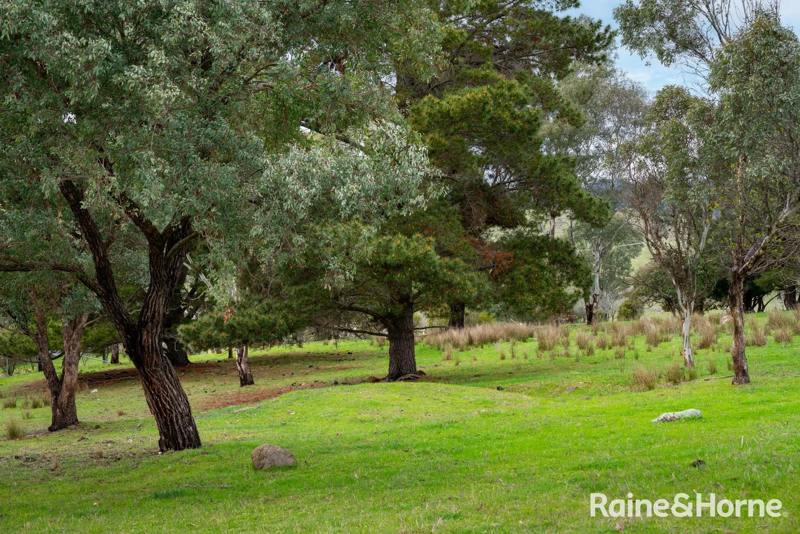 Additional image 24 of 2216 Freemantle Road, Freemantle NSW 2795