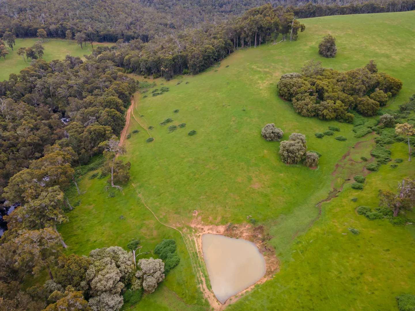 Additional image 14 of Lot 4 Kammann Road (Upper Warren), Manjimup WA 6258
