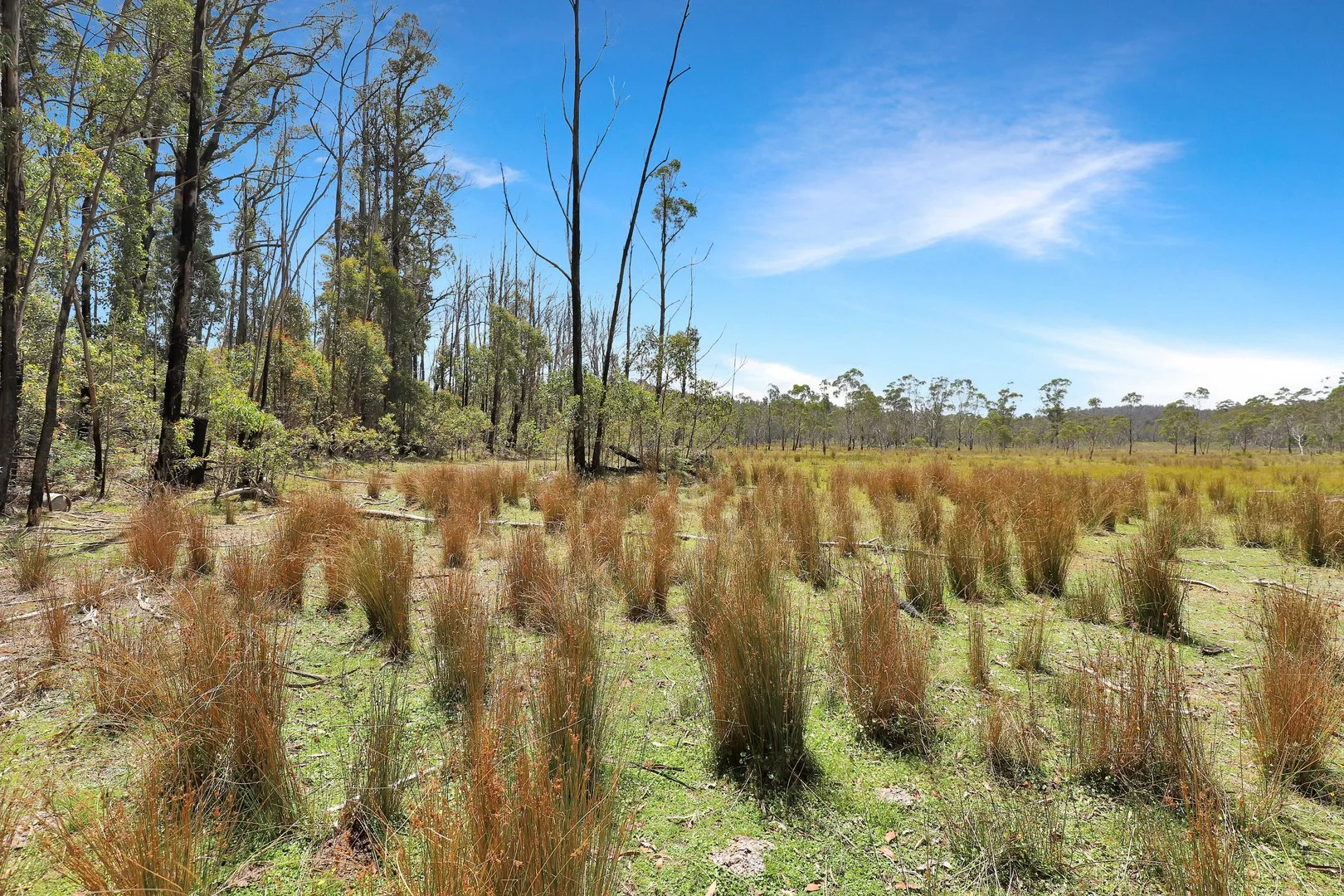 Additional image 5 of Lot 51 Tantawangalo Mountain Road, Cathcart NSW 2632