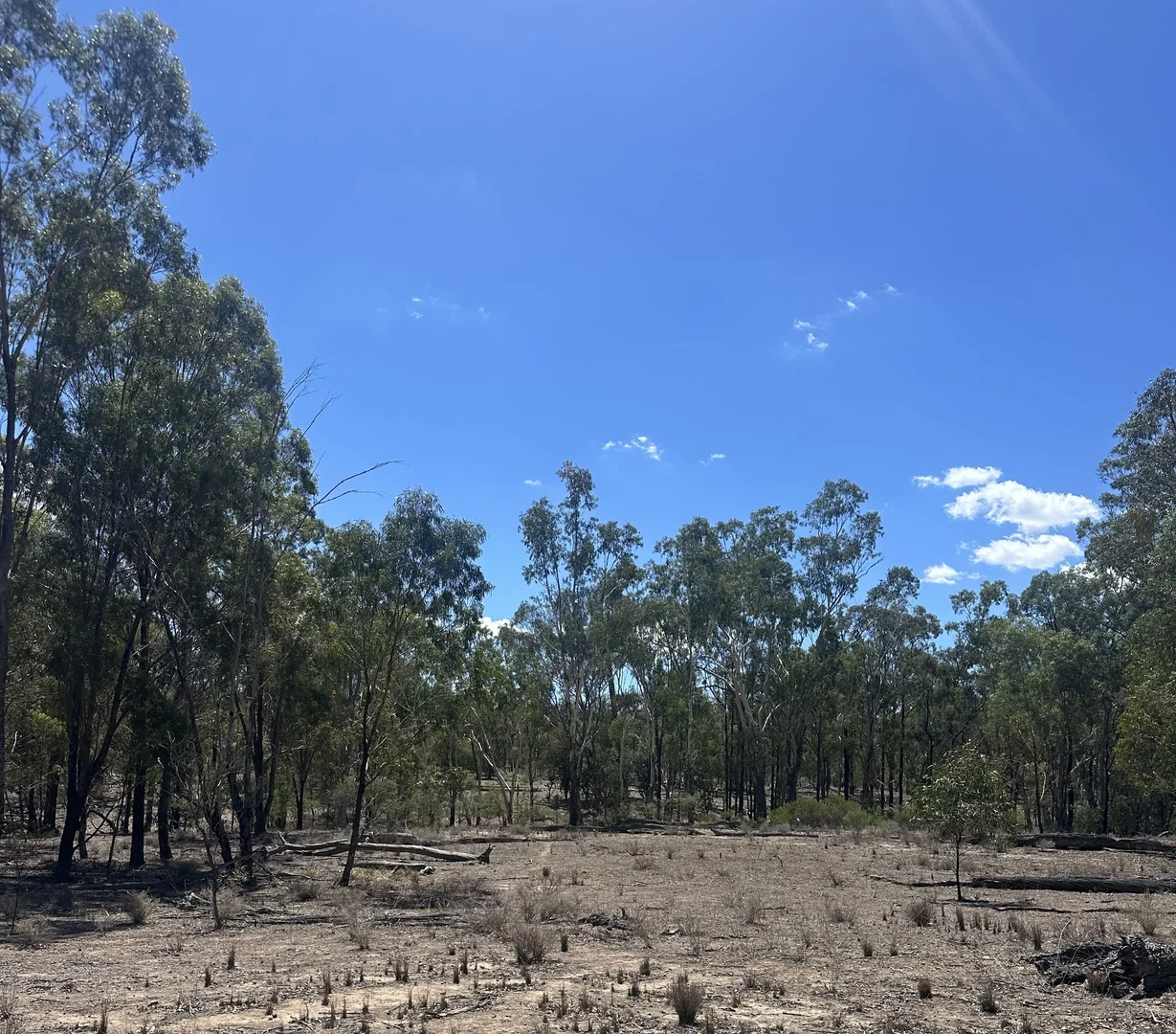 Additional image 7 of Mosquito Creek Road, Inglewood QLD 4387
