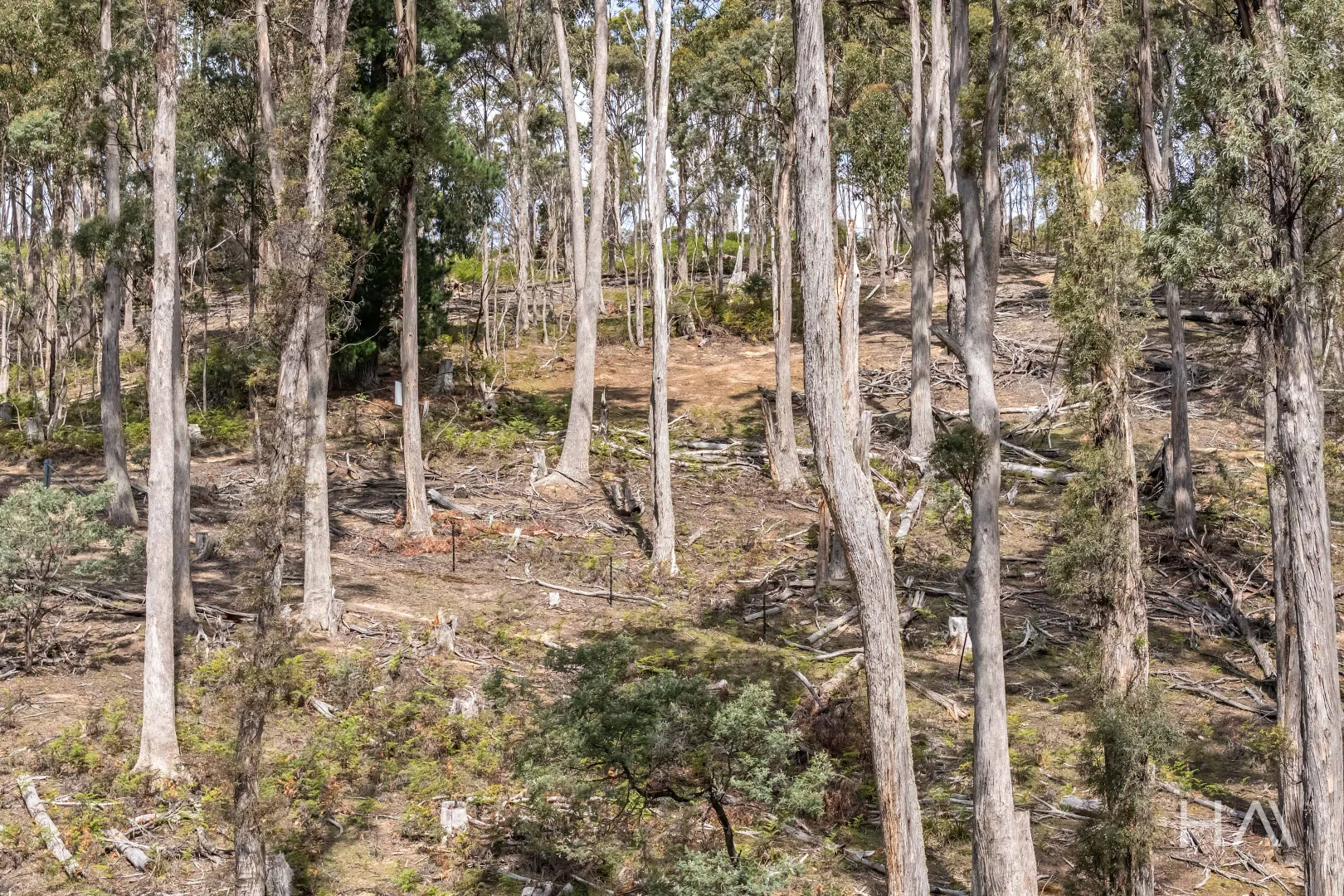 Additional image 18 of English Town Road, Deddington TAS 7212