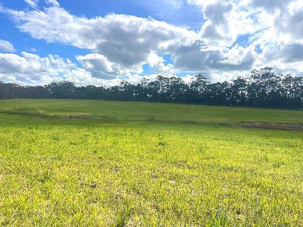 Additional image 2 of D'Aguilar QLD 4514