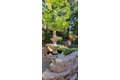 Additional image 37 of 19812 Wanita Ln, Twain Harte, CA, 95383