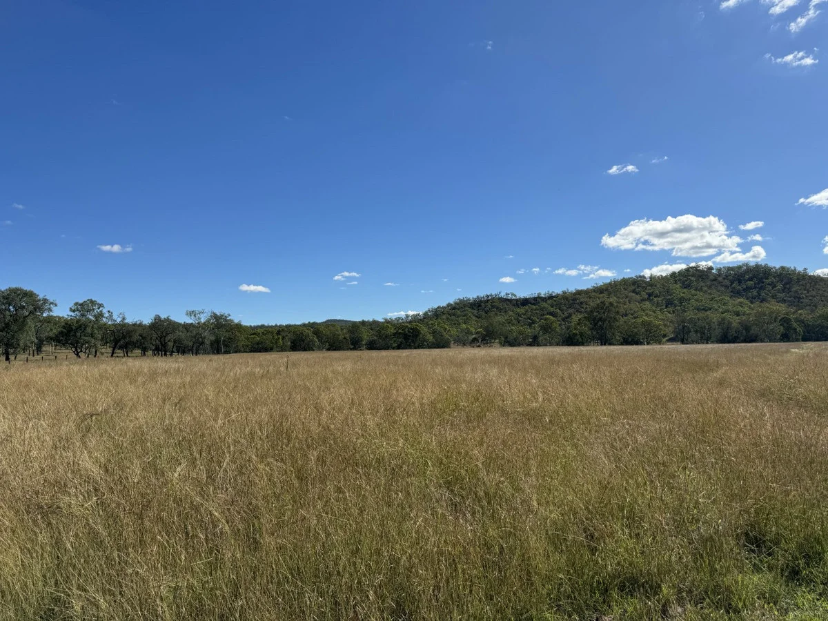 Additional image 8 of 186 Mungungo Creek Road, Monto QLD 4630