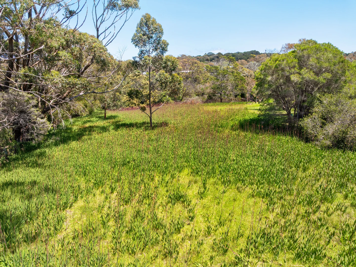 Additional image 4 of 26 Rest Drive, Flinders VIC 3929