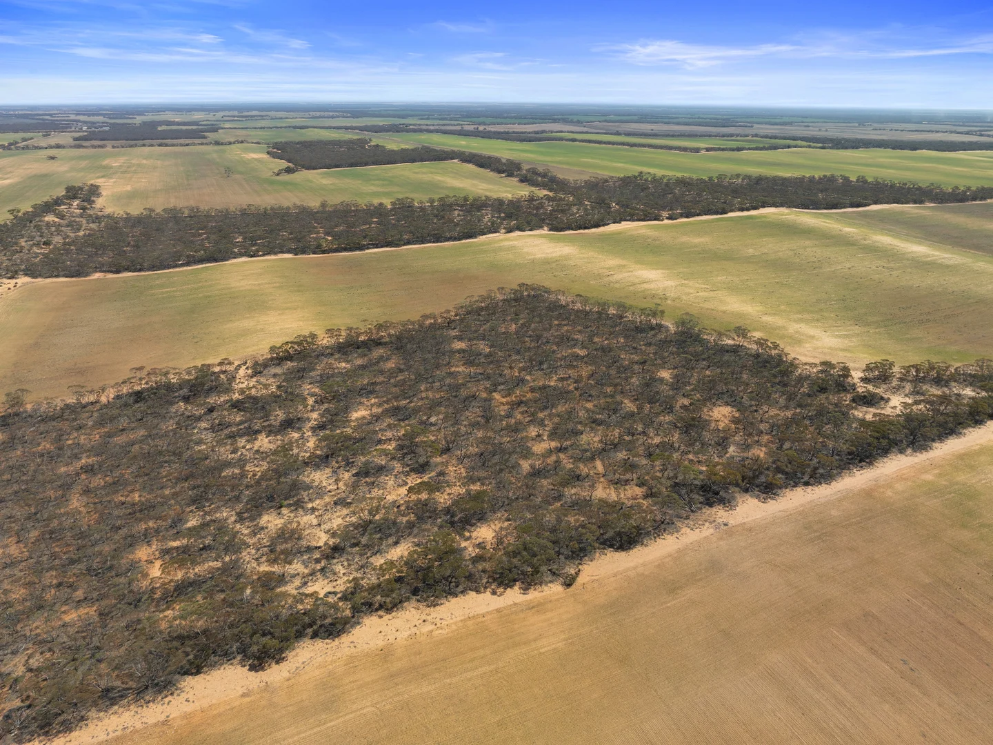 Additional image 10 of 1719 New Well Centre Road, New Well SA 5357