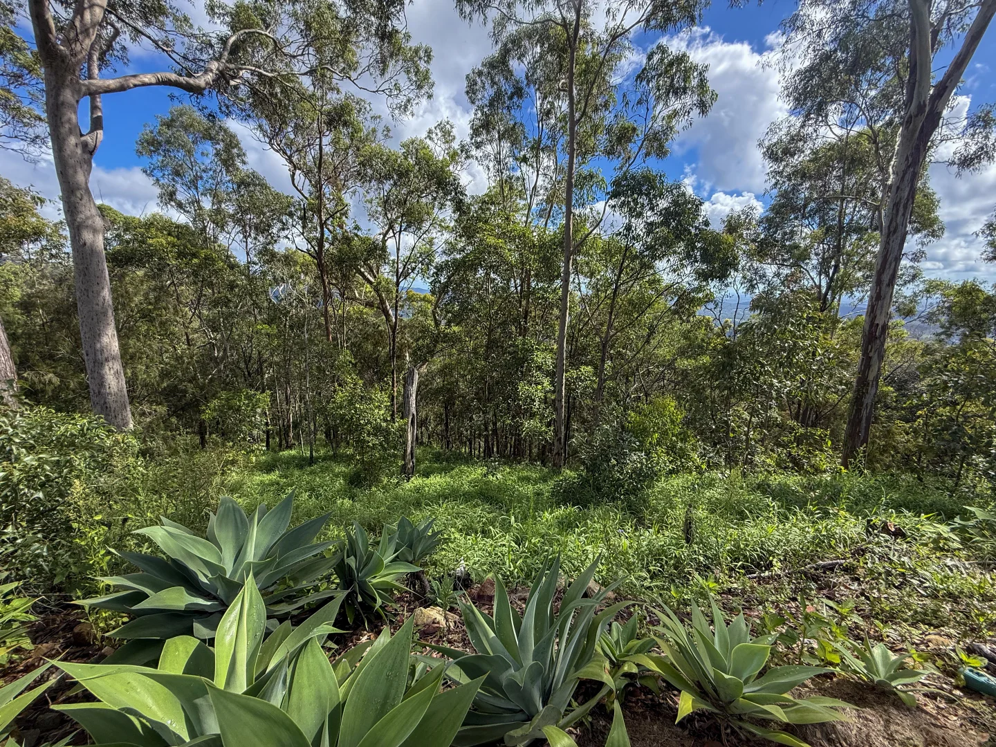 Additional image 9 of 21 Wildflower Court, Clagiraba QLD 4211