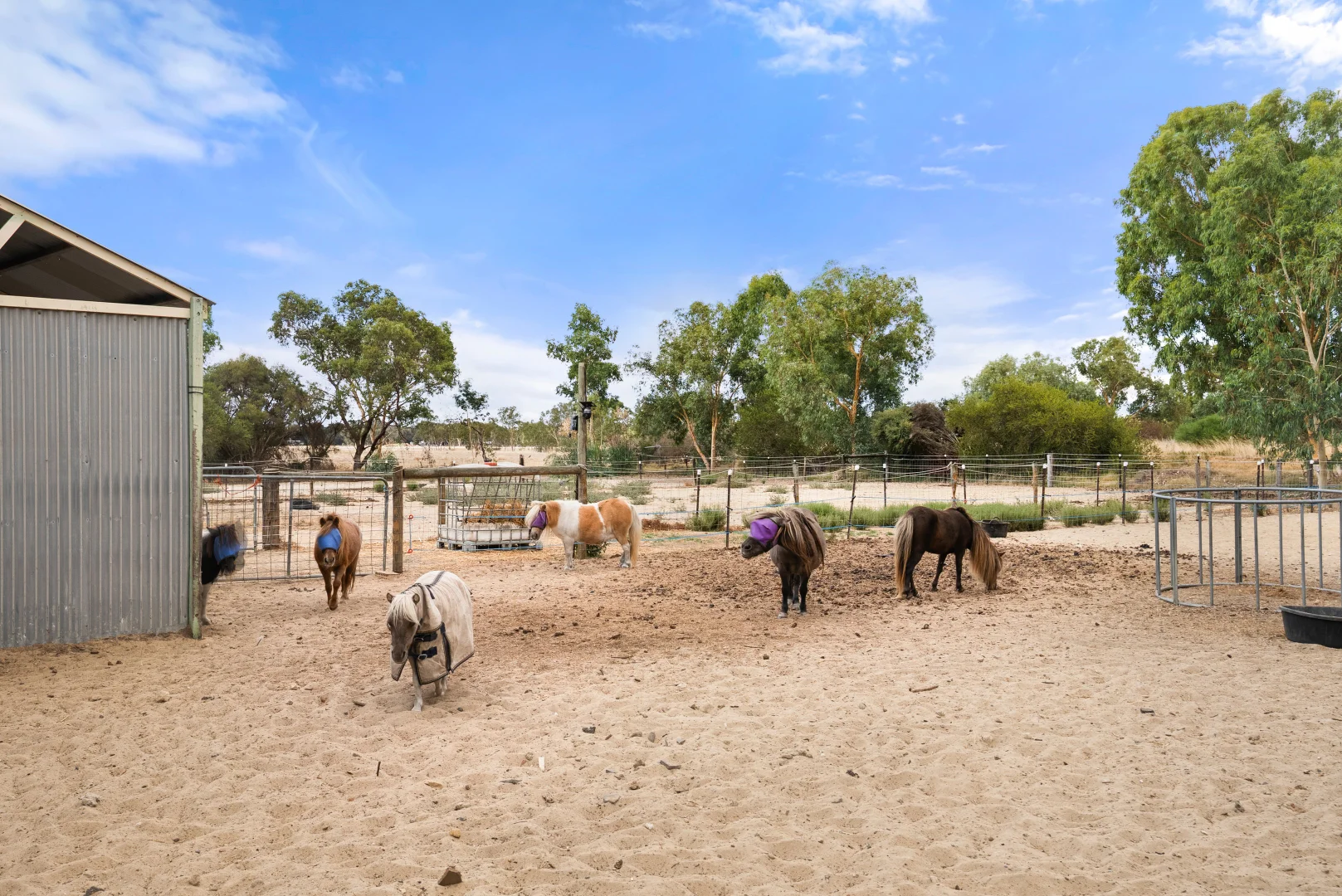 Additional image 35 of 213 & 191 Karnup Road, Baldivis WA 6171