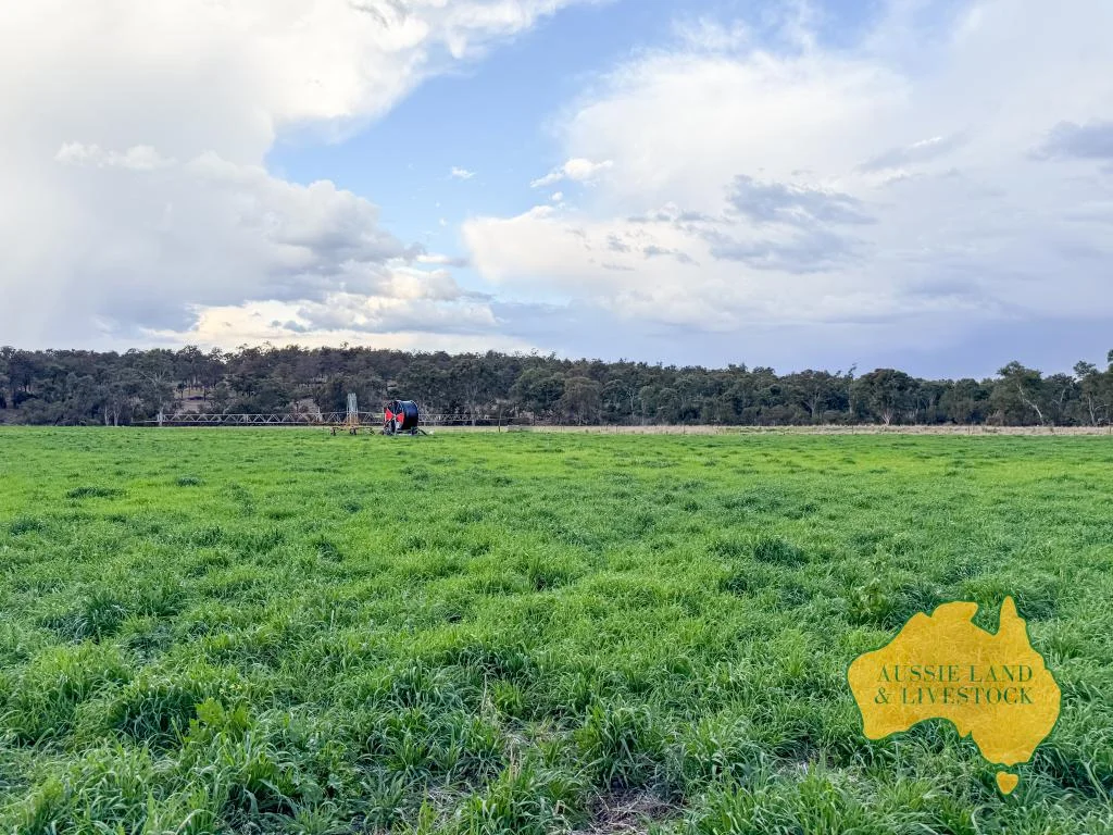 Additional image 4 of 250 Heights Road, Nanango QLD 4615