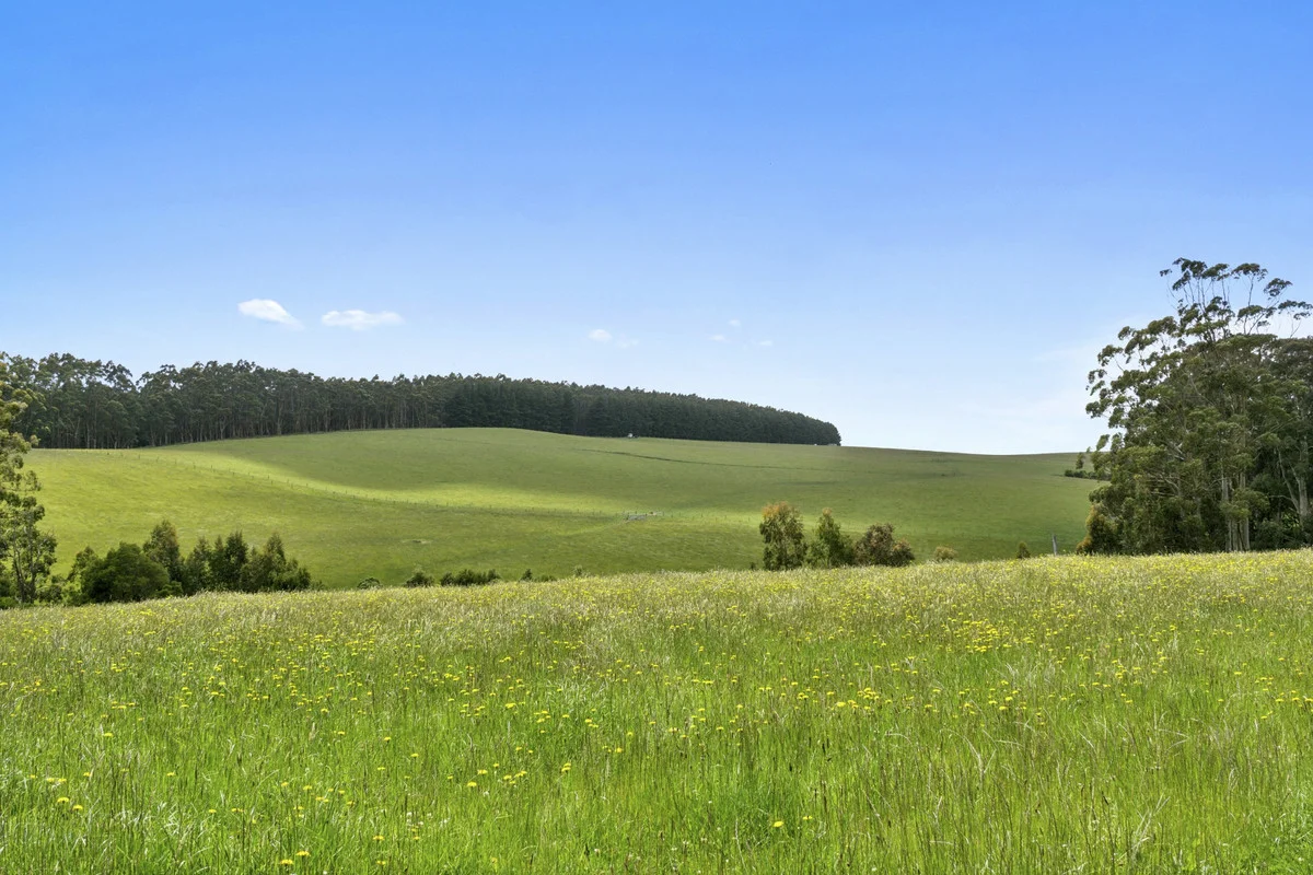 Additional image 8 of 4230 Colac-Lavers Hill Road, Weeaproinah VIC 3237