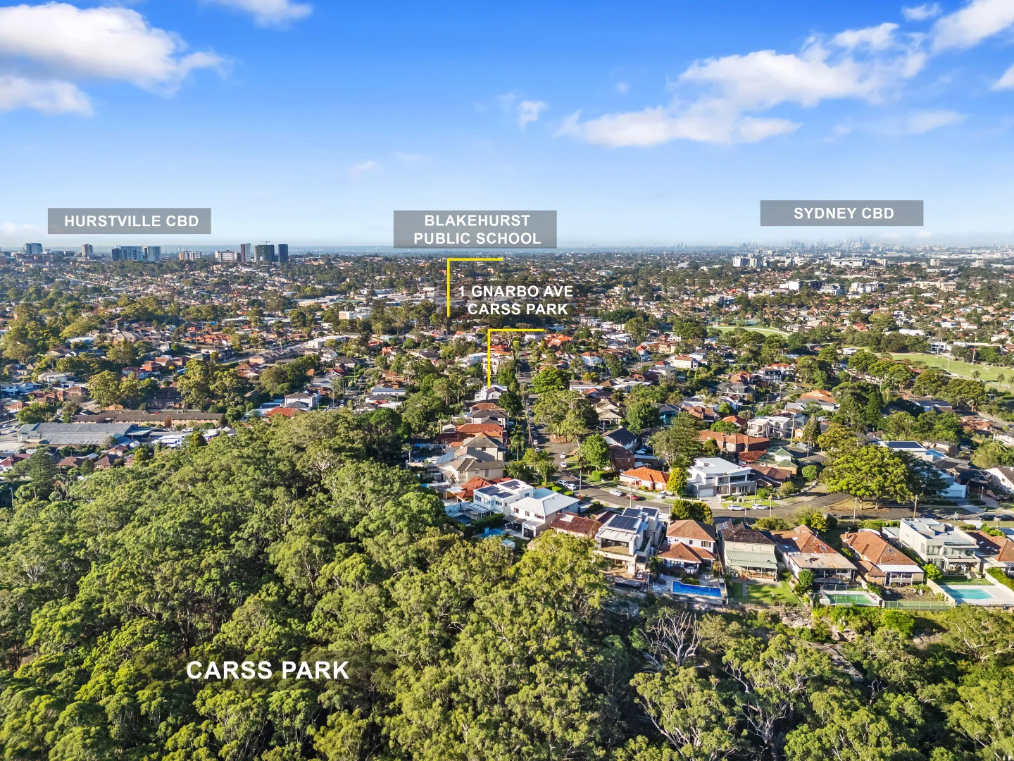 Additional image 23 of 1 Gnarbo Avenue, Carss Park NSW 2221
