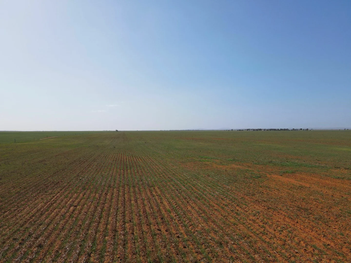 Additional image 8 of 'Daly's' Collins Road, Willowie SA 5431