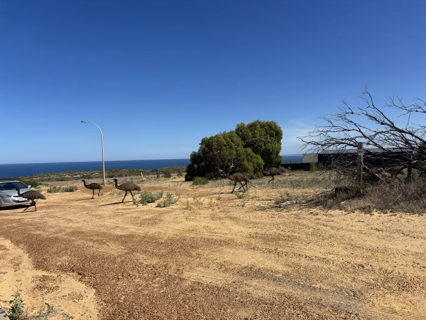 Additional image 5 of Lot 17/1 Browne Boulevard, Kalbarri WA 6536