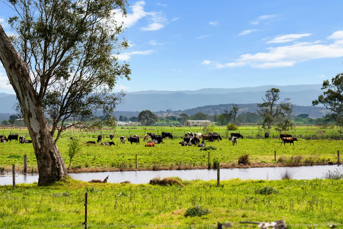 Additional image 5 of 95 Vardys Road, Riverslea VIC 3860